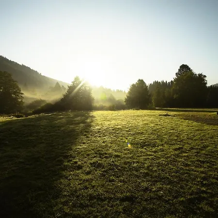 Alpstuga Mana, Confort Avec Et Sauna Gérardmer